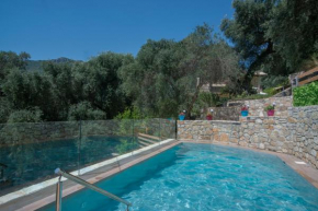 Villa Douros with private pool near Parga city center